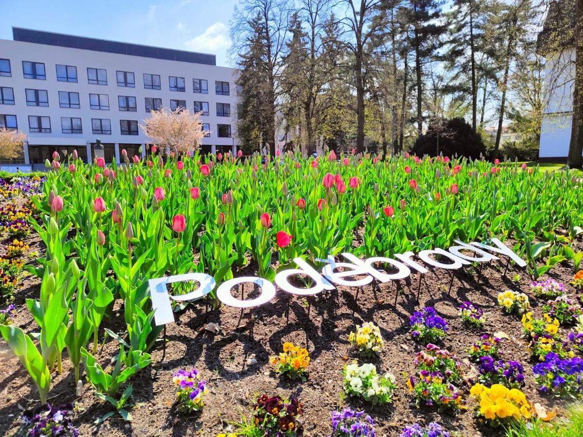 Homestay Podiebrady Zewnętrze zdjęcie