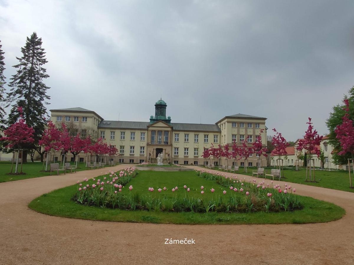 Homestay Podiebrady Zewnętrze zdjęcie
