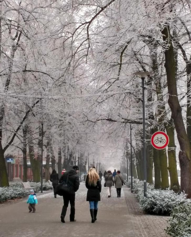 Homestay Podiebrady Zewnętrze zdjęcie