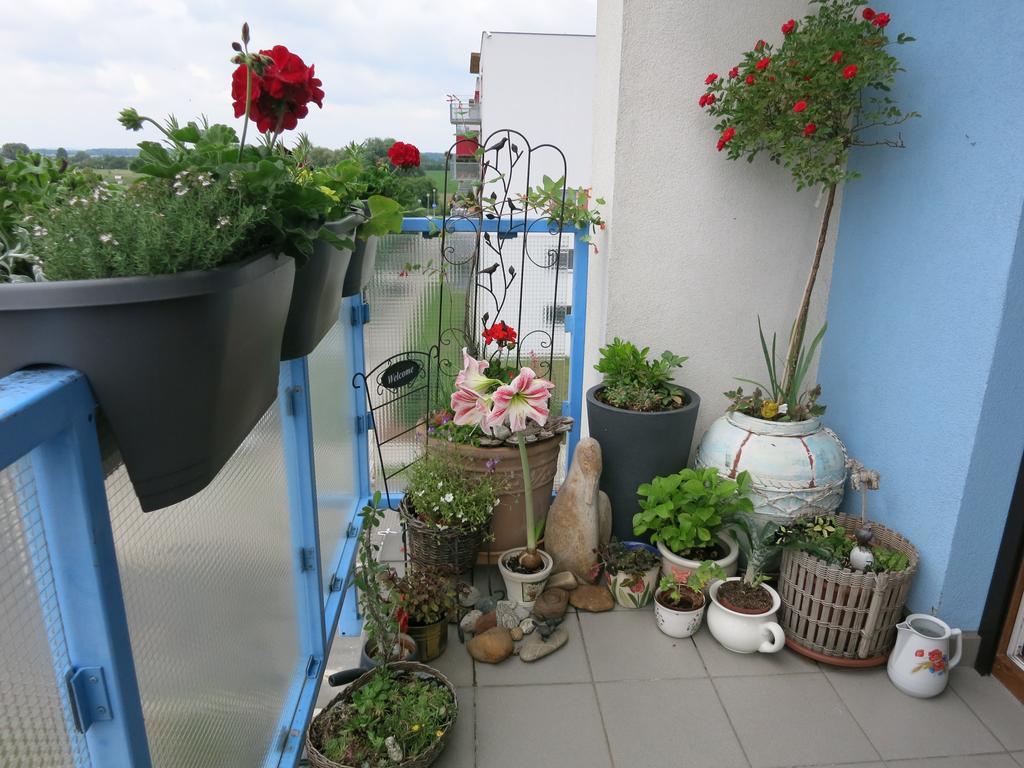Homestay Podiebrady Zewnętrze zdjęcie